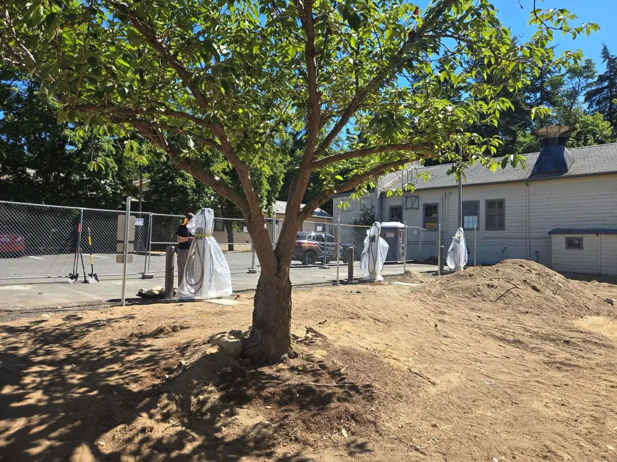 Protective bollards and EV charging signage installed, including DSHS Fleet Only signage